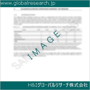 グローバルリサーチ調査資料のイメージ